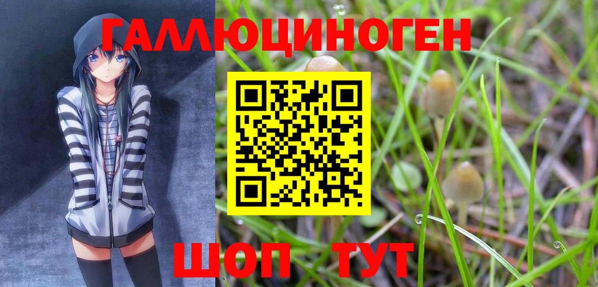 Галлюциногенные грибы прущие грибы Корсаков