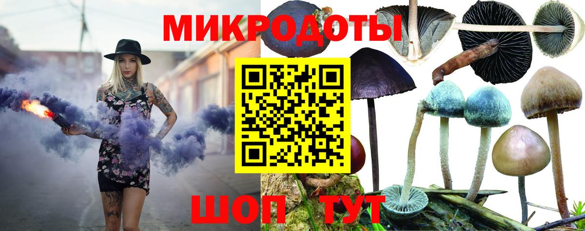 Корсаков  Галлюциногенные грибы GOLDEN TEACHER  Вход с VPN 